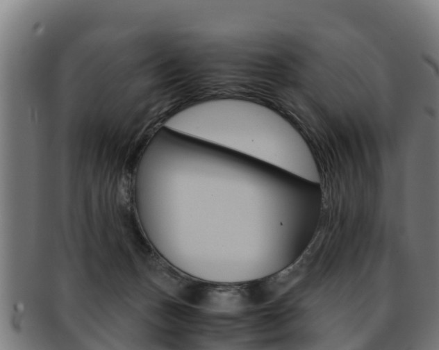X0000091960175200709061107