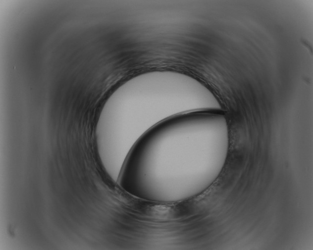 X0000091960176200709061107