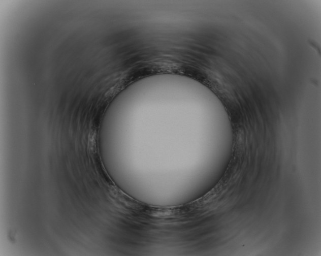 X0000091960177200709061107