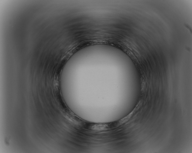 X0000091960179200709061107