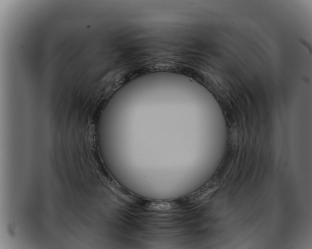 X0000091960181200709061107