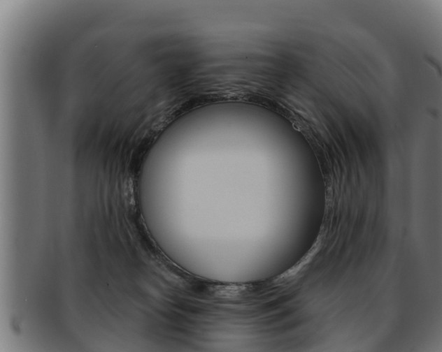 X0000091960182200709061107