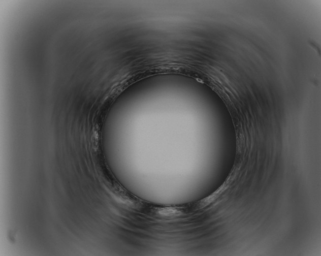 X0000091960183200709061107