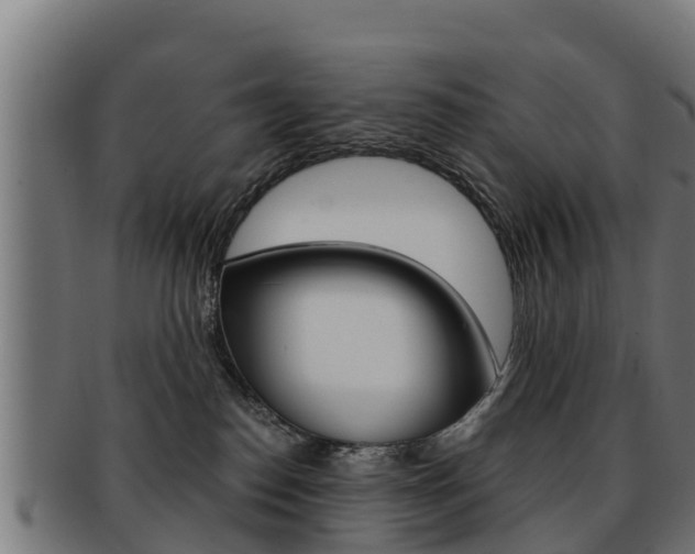 X0000091960186200709061107