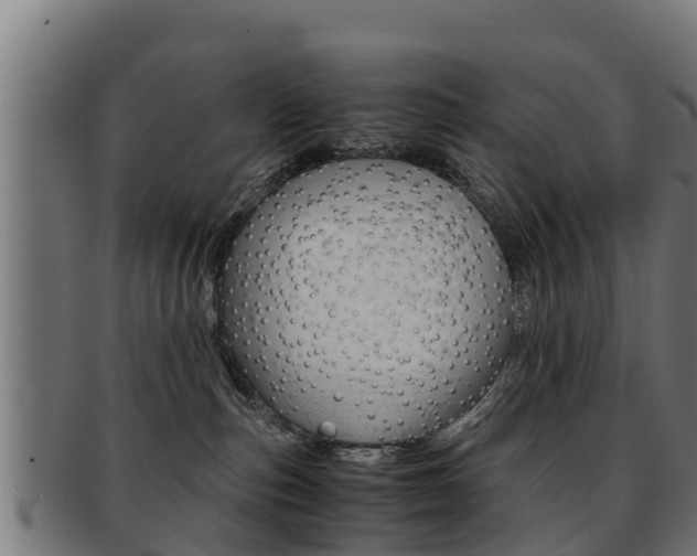 X0000091960187200709061107