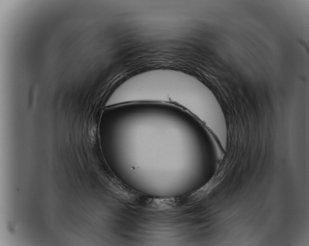 X0000091960188200709061107