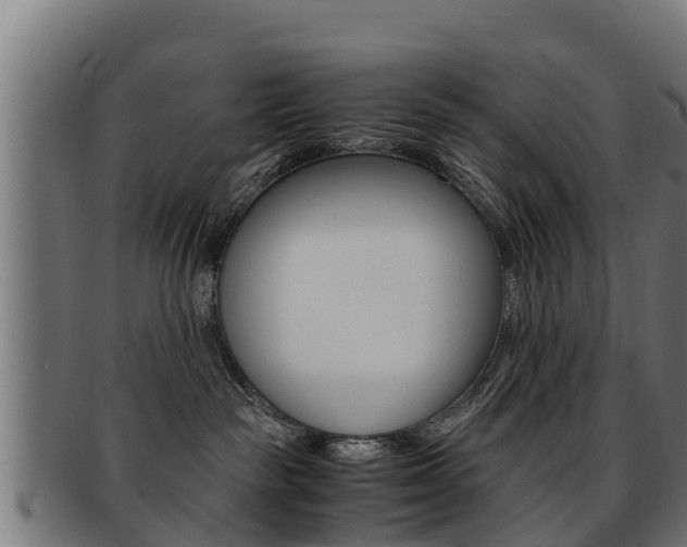 X0000091960189200709061107