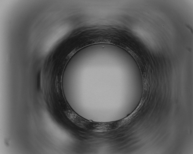 X0000091960191200709061108