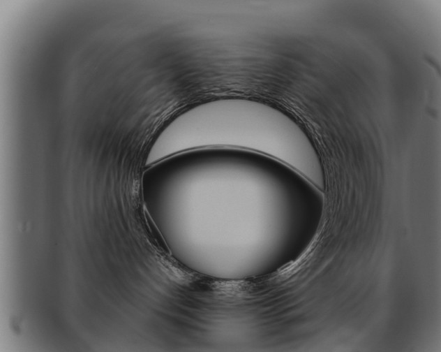 X0000091960192200709061108