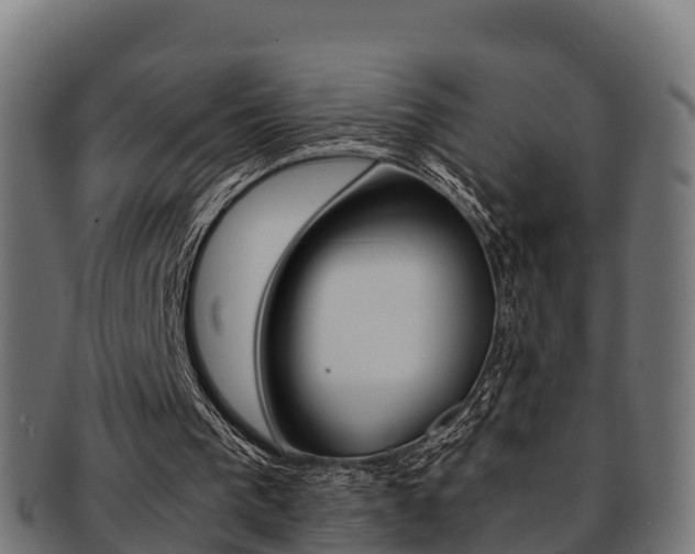 X0000091960193200709061107