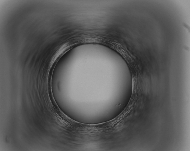 X0000091960195200709061107
