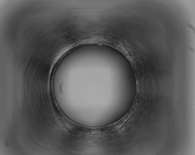 X0000091960196200709061107