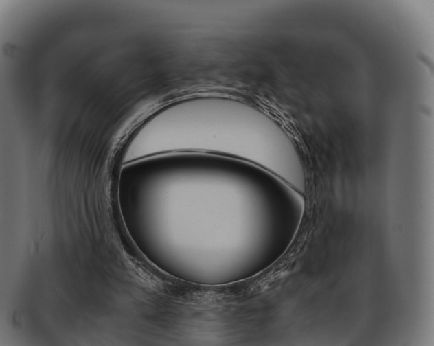 X0000091960197200709061107
