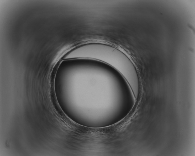 X0000091960199200709061107
