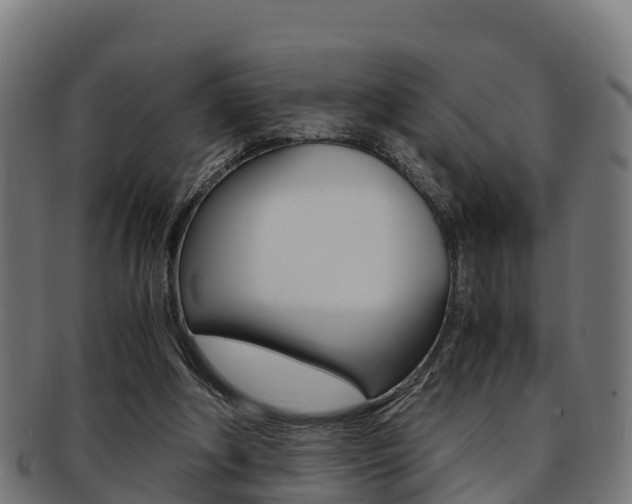 X0000091960202200709061107