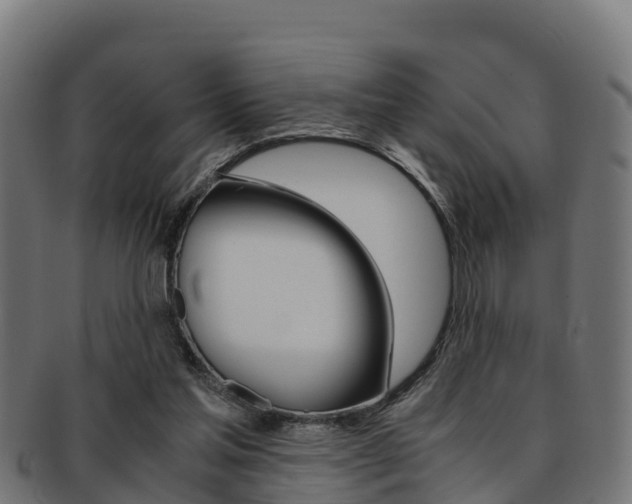 X0000091960205200709061107
