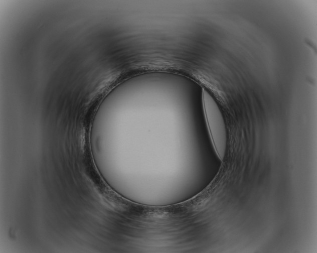 X0000091960206200709061107