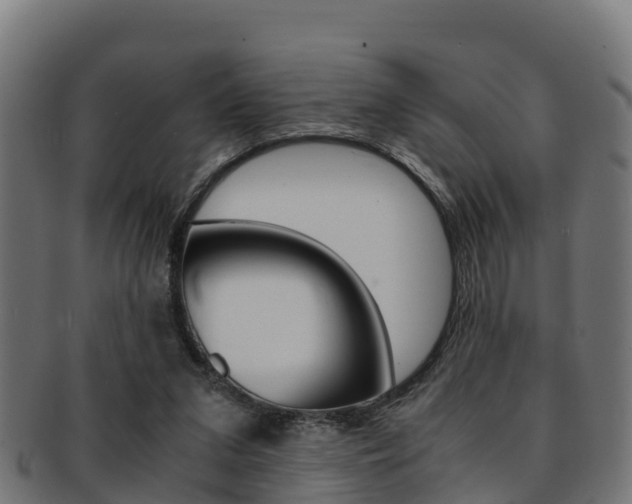 X0000091960207200709061107