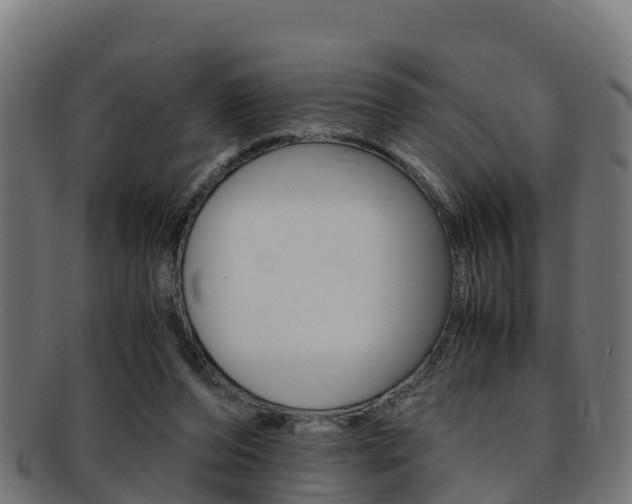 X0000091960208200709061107