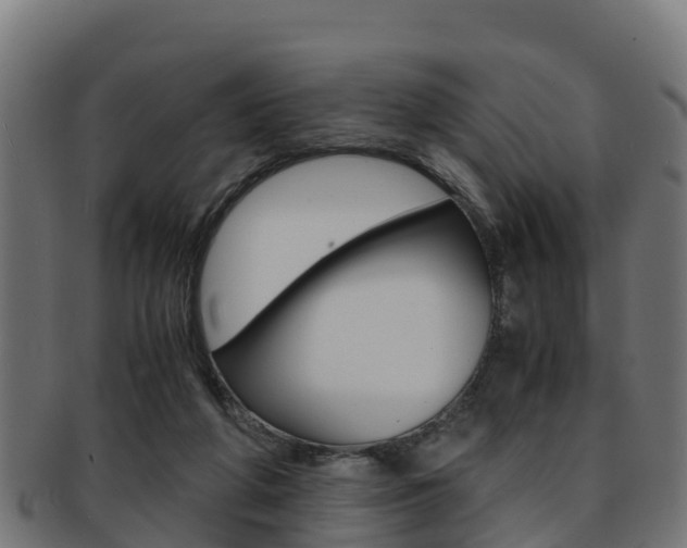 X0000091960210200709061107