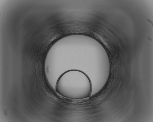 X0000091960211200709061107