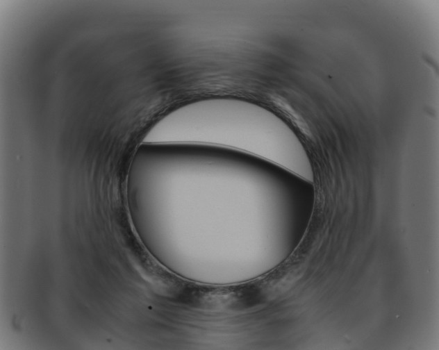 X0000091960213200709061107