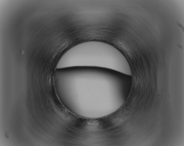 X0000091960214200709061107