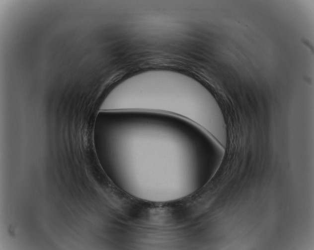 X0000091960216200709061107