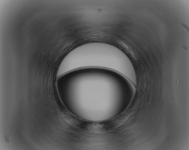X0000091960217200709061107