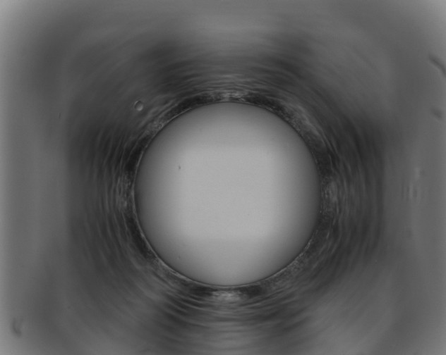 X0000091960218200709061107