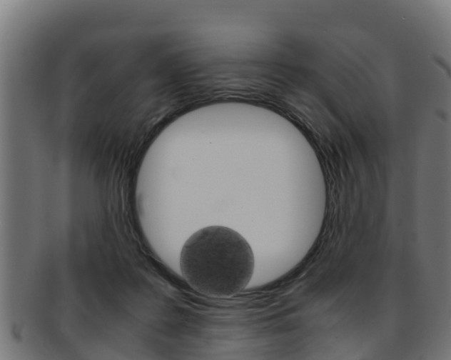 X0000091960219200709061107