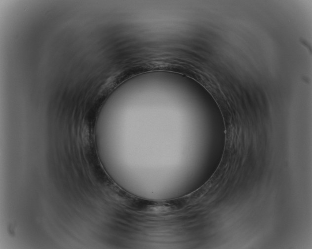 X0000091960220200709061107