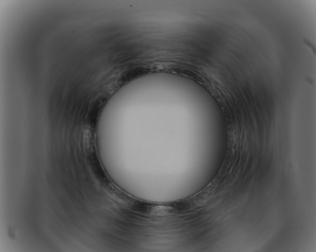 X0000091960222200709061107