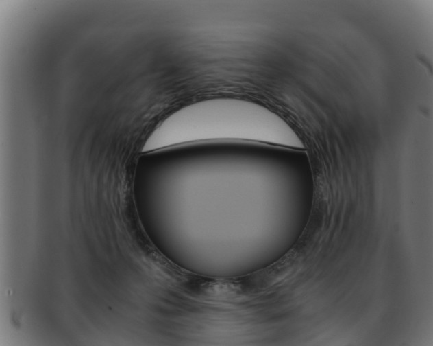 X0000091960223200709061107