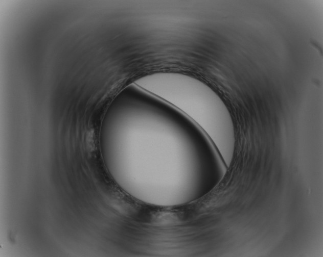 X0000091960224200709061107