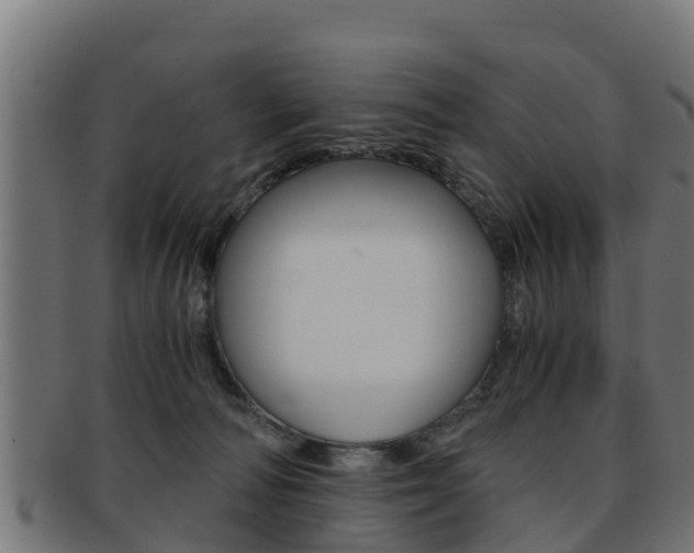 X0000091960226200709061107