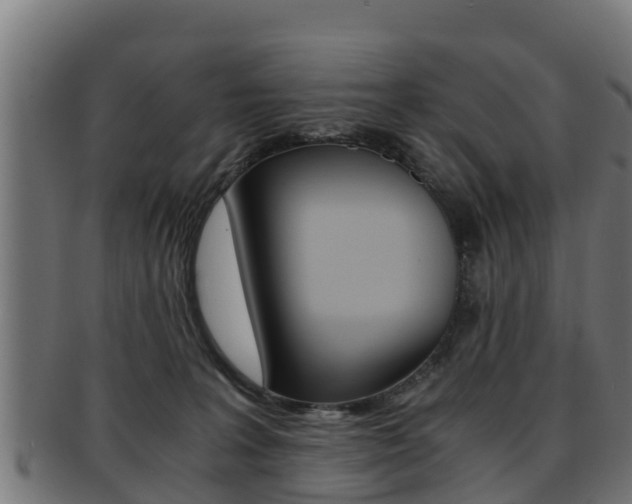 X0000091960227200709061107