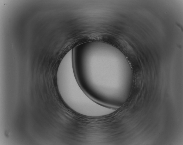 X0000091960229200709061107