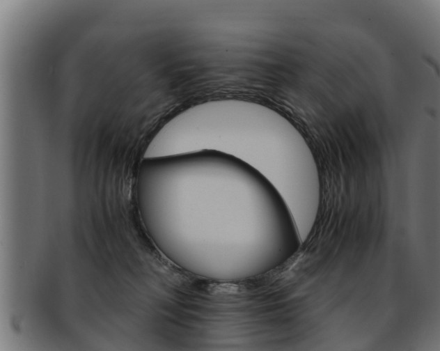 X0000091960230200709061107