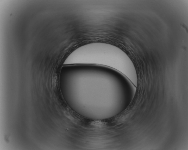 X0000091960231200709061107