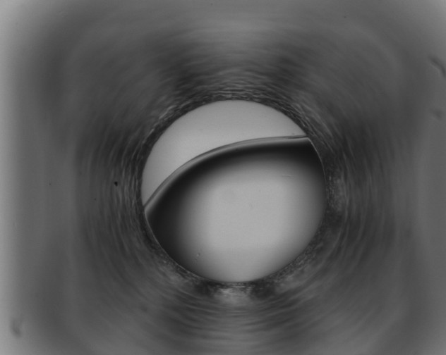 X0000091960232200709061106