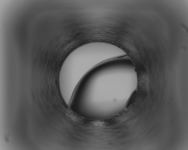 X0000091960233200709061106