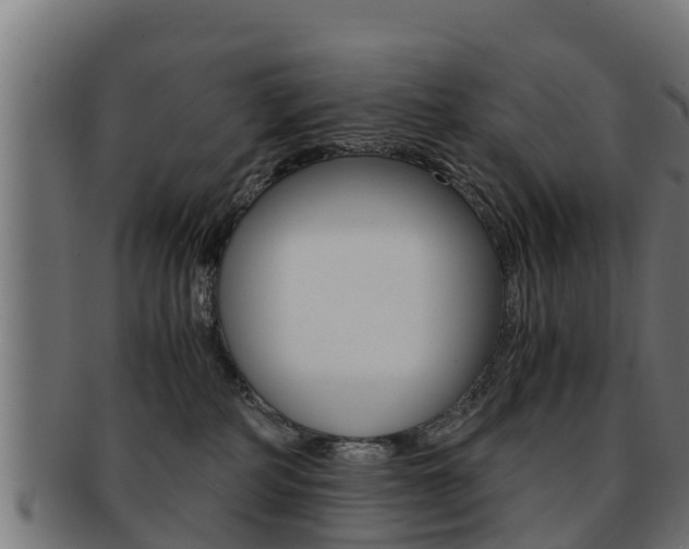X0000091960234200709061106