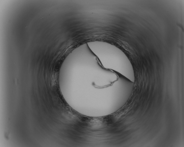 X0000091960236200709061106