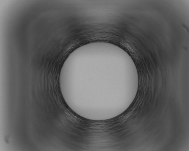 X0000091960237200709061106