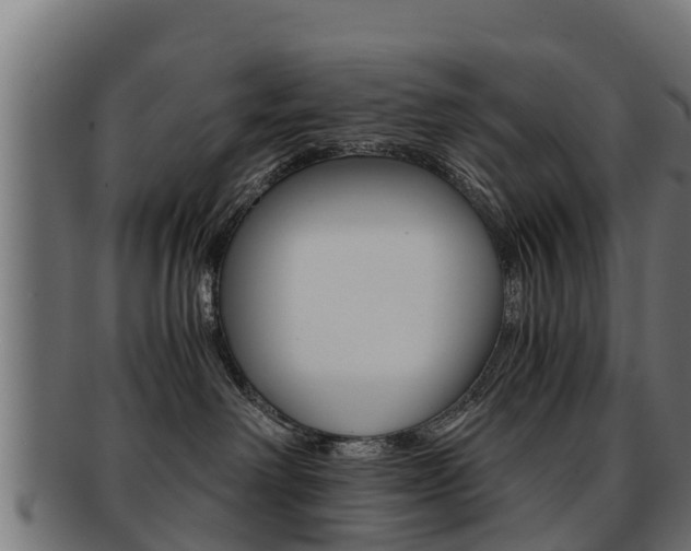 X0000091960238200709061106