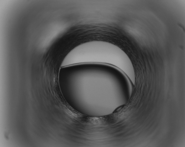X0000091960239200709061106