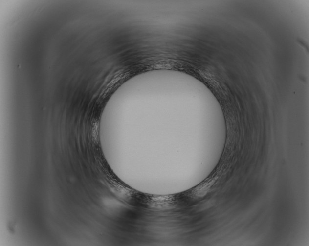 X0000091960240200709061106