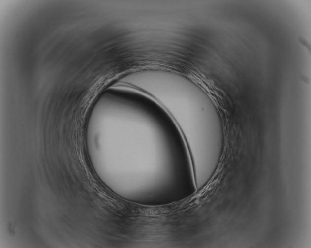X0000091960241200709061106