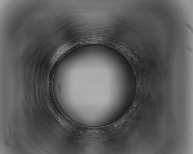 X0000091960242200709061106